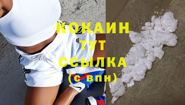 стаф Белокуриха