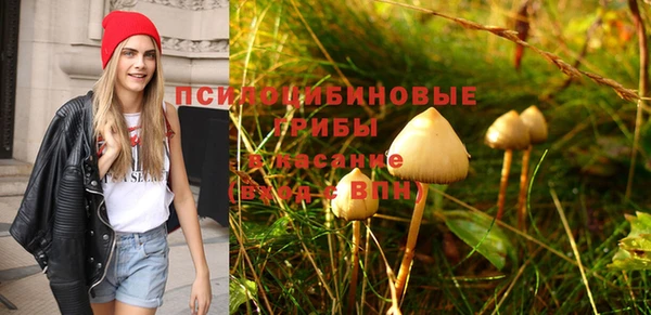 стаф Белокуриха
