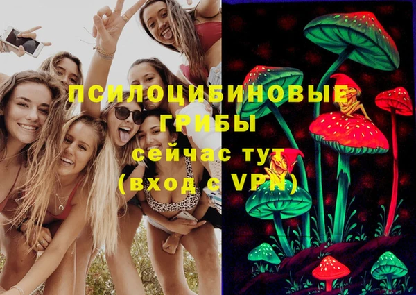 стаф Белокуриха