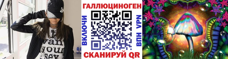 Галлюциногенные грибы Psilocybine cubensis Купить где Ядрин
